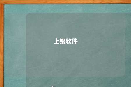 上银软件 