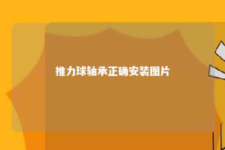 推力球轴承正确安装图片 