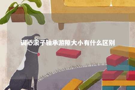 调心滚子轴承游隙大小有什么区别 