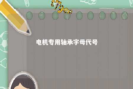电机专用轴承字母代号 