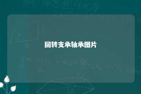 回转支承轴承图片 