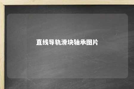 直线导轨滑块轴承图片 