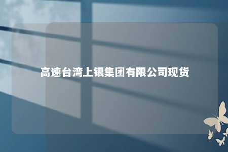 高速台湾上银集团有限公司现货 