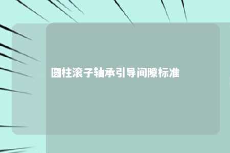 圆柱滚子轴承引导间隙标准 