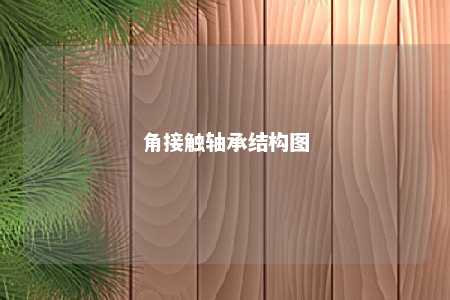 角接触轴承结构图 